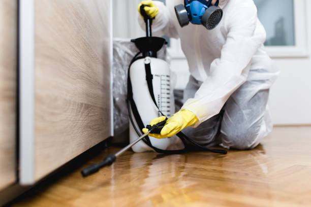 Best Pest Removal Services  in Winchester, KY