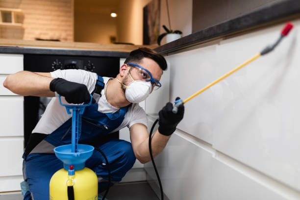 Wasp Removal Services in Winchester, KY
