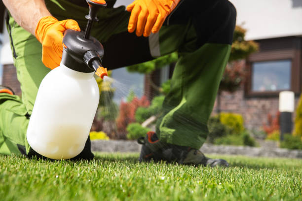 Best Affordable Pest Control Services  in Winchester, KY