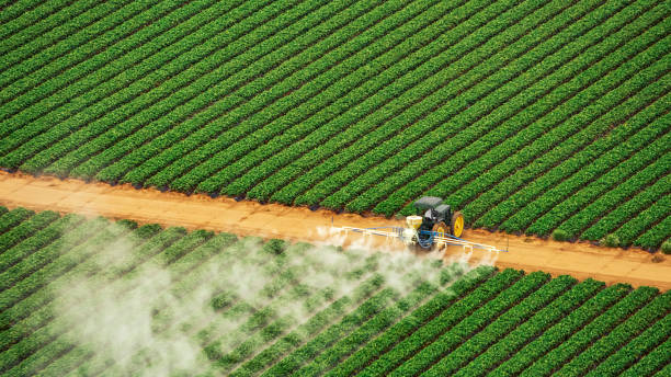 Best Commercial Pest Control Services  in Winchester, KY