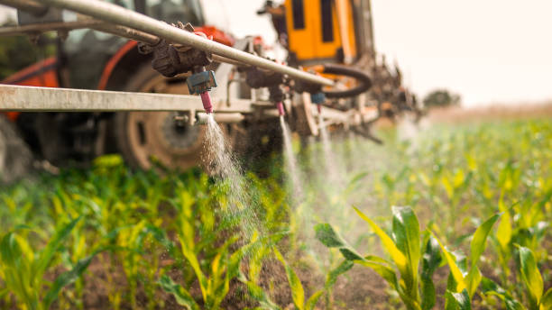 Best Ant Control Services  in Winchester, KY